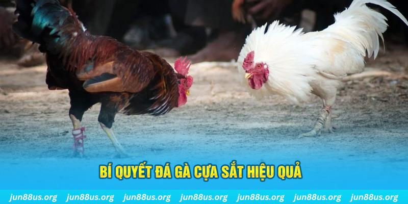 az688 nổ hũ may mắn