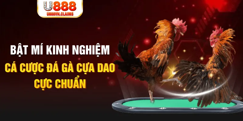 az688 casino hồ tràm có cho người việt vào không