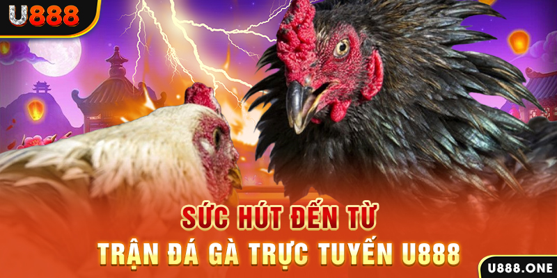 az688 đăng nhập poker 2024