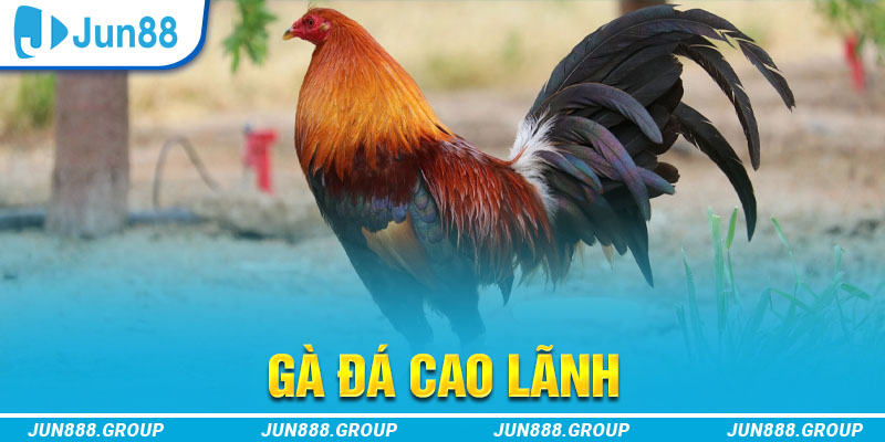 az688 tai game vua bai ve may tinh