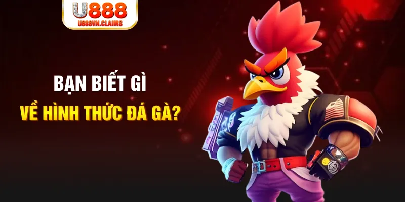 az688 đăng nhập liêng tặng tiền
