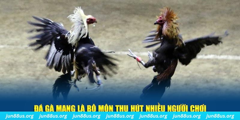 az688 đăng nhập sòng bạc số 1