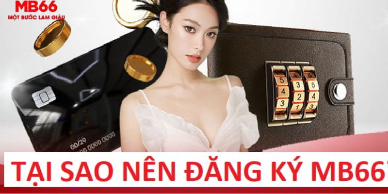 az688 trực tiếp gà chọi c1