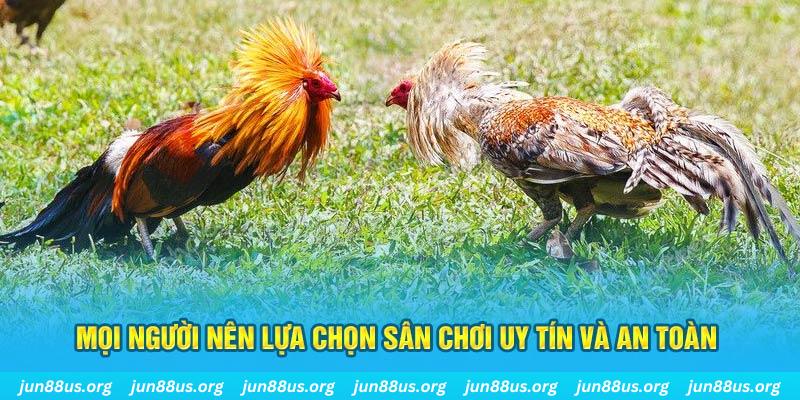 az688 đăng nhập poker 2025