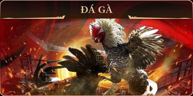 az688 đá gà trực tiếp campuchia