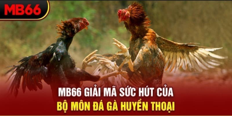 az688 xổ số đài bắc