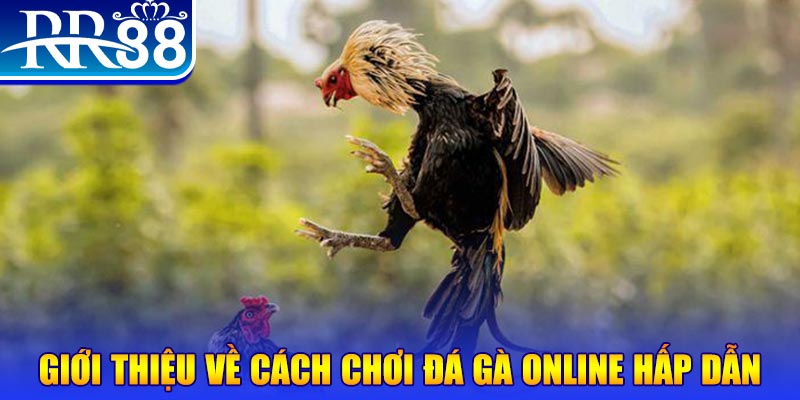 az688 bắn cá h5 là gì