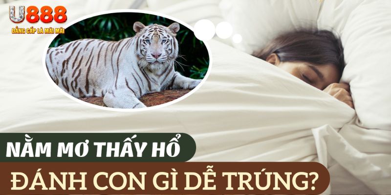 az688 nohu .mx nổ hủ là gì
