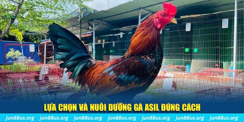 az688 nổ hũ thần tài là gì