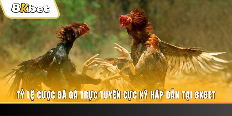 az688 xổ số miền bắc chủ nhật