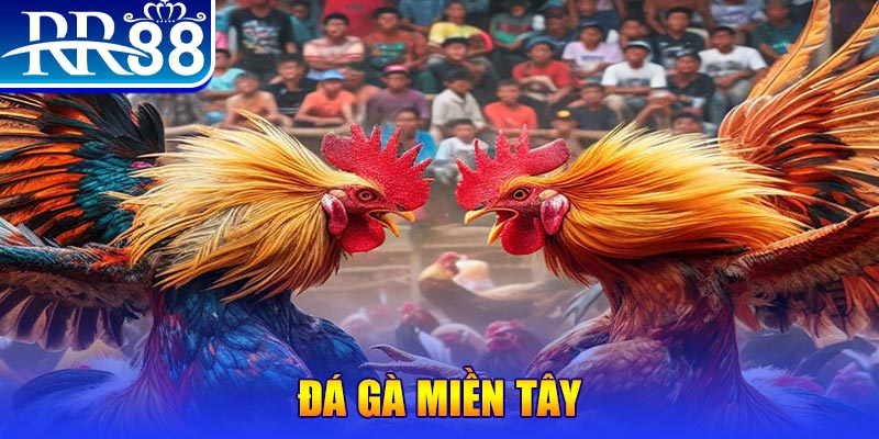 az688 đăng nhập liêng đổi thưởng