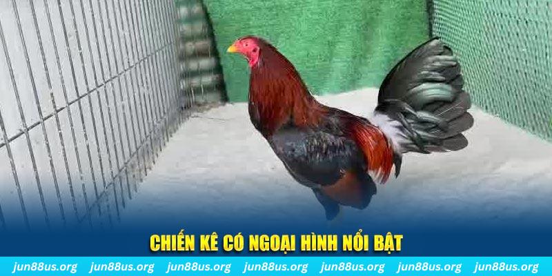 az688 qq88 bắn cá