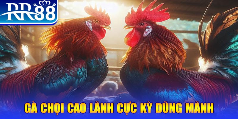 az688 đăng nhập poker live